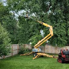 Mulching Services in Bamberg, SC